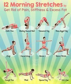 12 Morning Stretches-Fitness&Exercise