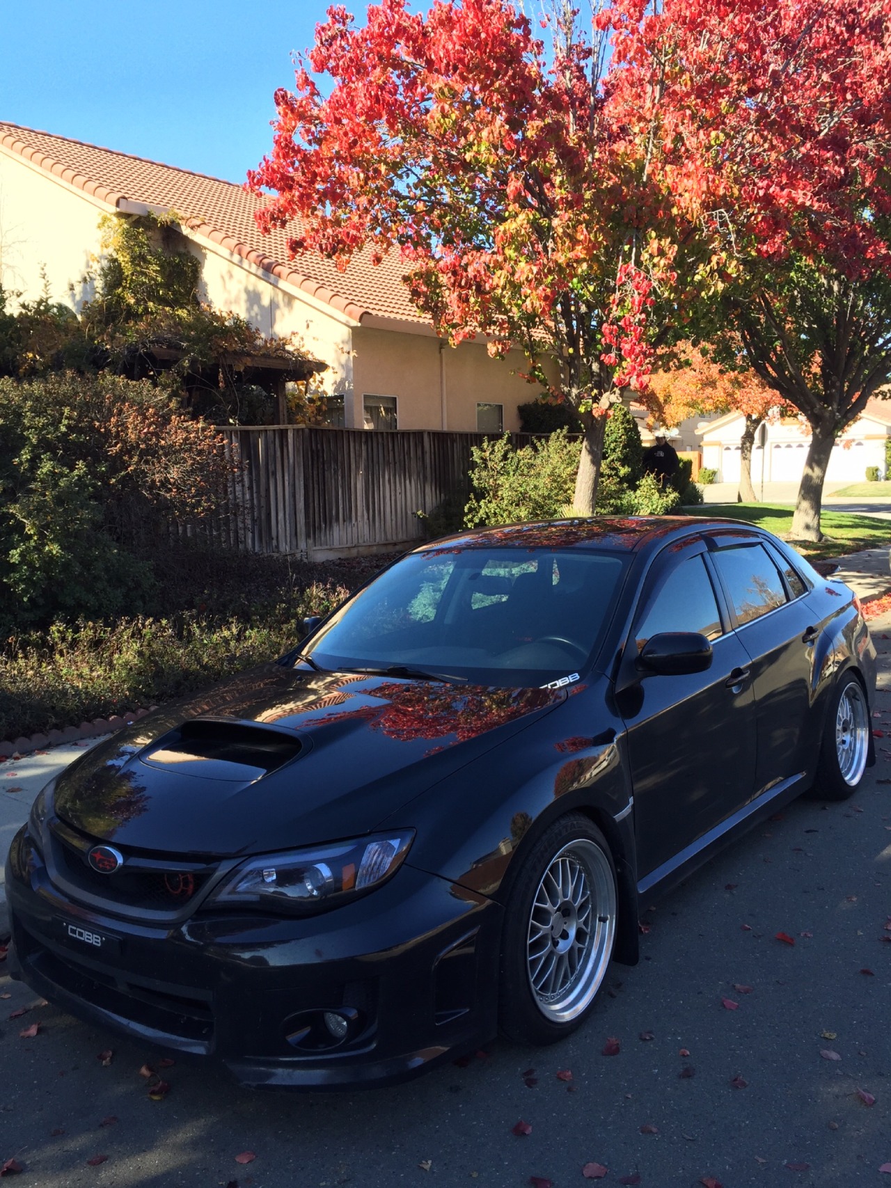 thatsubiegirl:  I was tagged for the six selfies thing by @theevildana 😘💕 