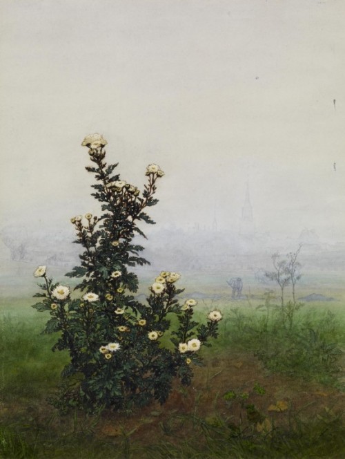 le-desir-de-lautre: Léon Bonvin (French, 1834-1866), Flowering Chrysanthemum, 1863, wate
