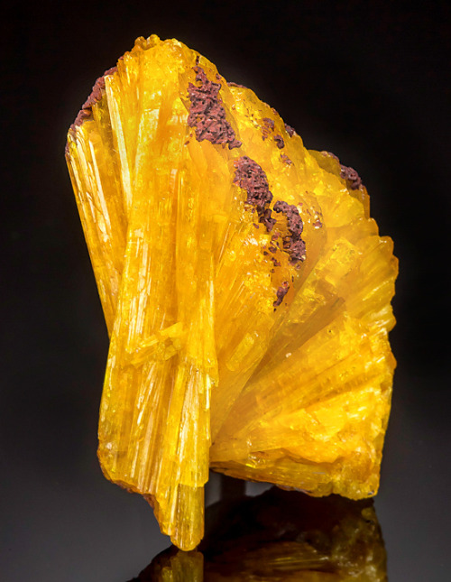 vugnasmineralblog: Legrandite on LimoniteOjuela Mine, Mapimí, Mun. de Mapimí, Durango, Mexico 