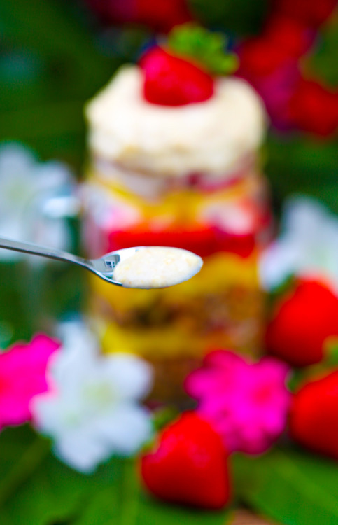 Olenko’s Raw Vegan Oat Parfait with Jackfruit and Strawberries   Oats: 1 cup gluten free organ