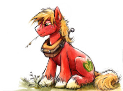 braeburn-corner:  Ruffled Manes <3  <3