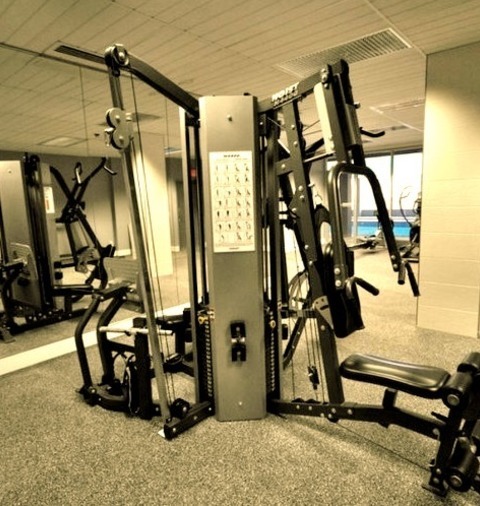 Gym - Weight Room