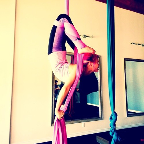 msannieviolet:  Need toes on shoulders . #aerial #silks #tissu #scorpion #halfmonty #backstretch #ae