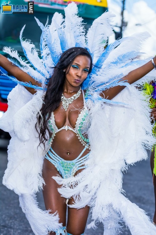 caribbeancivilisation:Trinidad Carnival, 2015