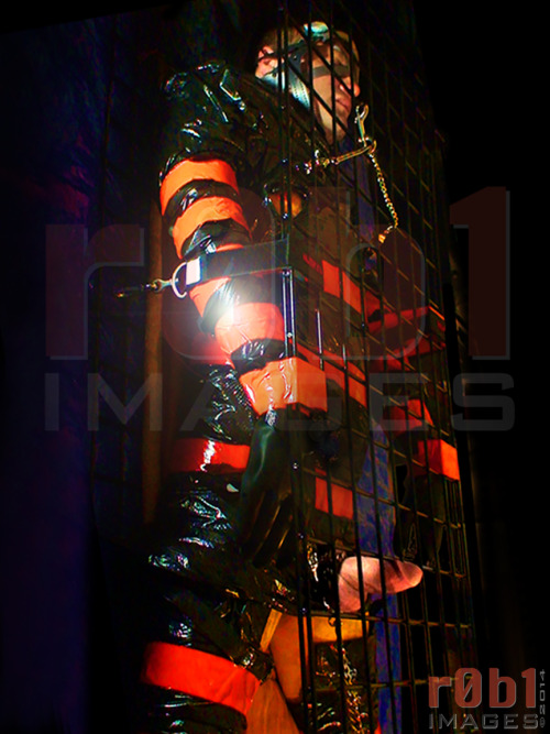 r0b1images:Meanwhile back in the cage…http://r0b1.comhttp://twitter.com/r0b1imageshttp://www.facebook.com/r0b1imagesReblog any r0b1images post
