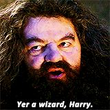  Memorable Harry Potter Quotes ♡ Part 1         