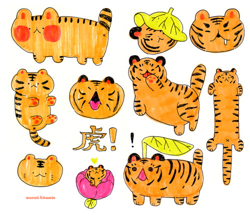 maruti-bitamin: Tigers 