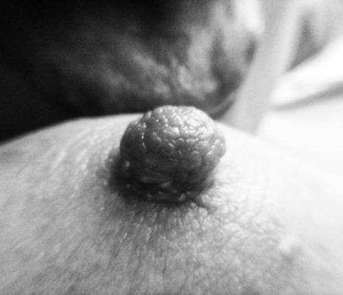 Porn mmmypuffynipples:hard nipple - hard daddy photos