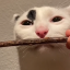 nastywizard:
