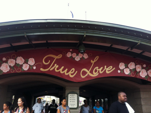disneyforeverlives:True Love Week at Magic Kingdom by lostgirlsyndrome on Flickr.