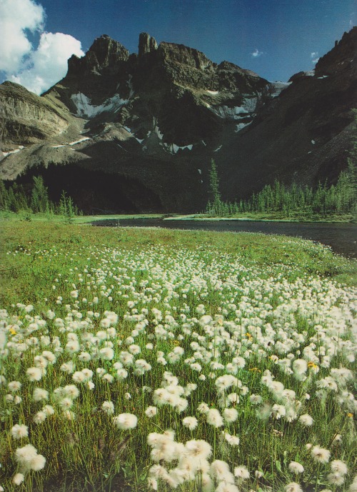 retrospectia:Mountains of Canada, 1984