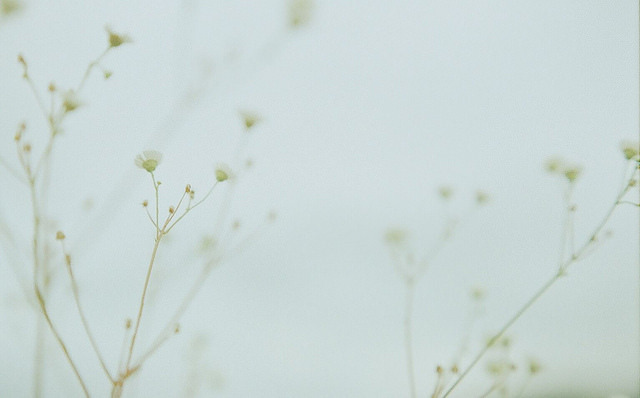 floralls:  by ki_coo 