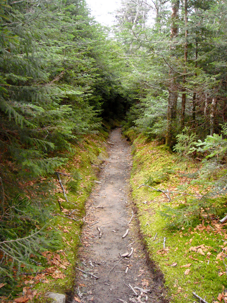 golookoutside:   travelstache:  travelstache does a section of the appalachian trail. 