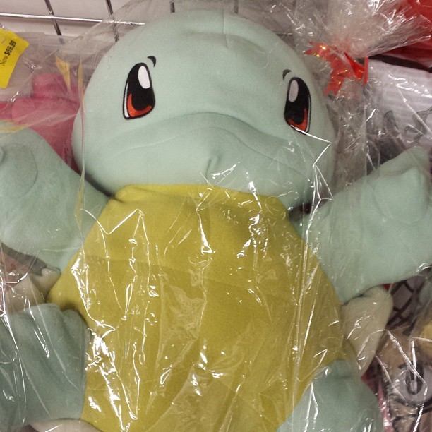 SQUIRTLE!!!!! #anime #pokemon #pokémon #squirtle #zenigame #plushies