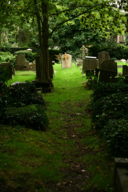 butisitartphoto:  path in Highgate Cemetery