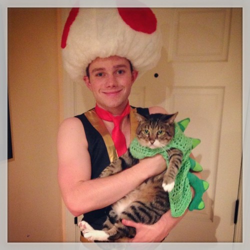 chriscolfernews-archive:hrhchriscolfer My cat officially hates Halloween. #Toad&Yoshi