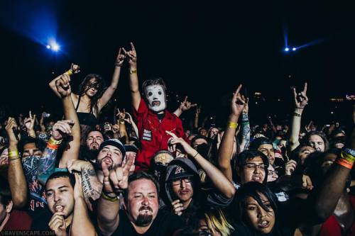 1 million maggots on @instagram. Thank you. #wewontdie [: Ravenscape]