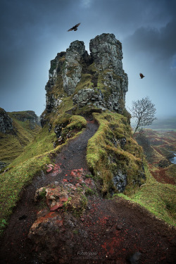 jswanstromphotography:  The Fairy Glen -