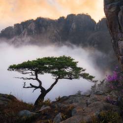 rosiesdreams:  On the edge of mist By Nathaniel