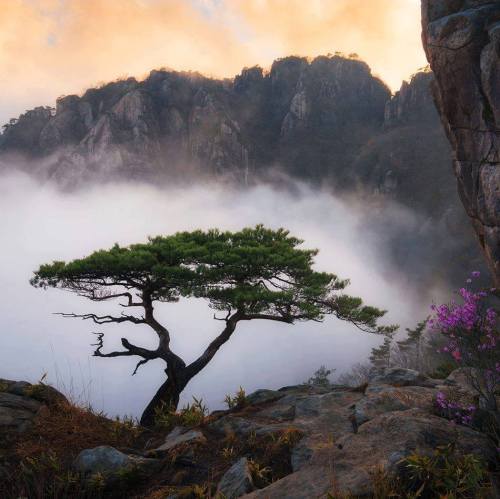 rosiesdreams:  On the edge of mist By Nathaniel Merz 