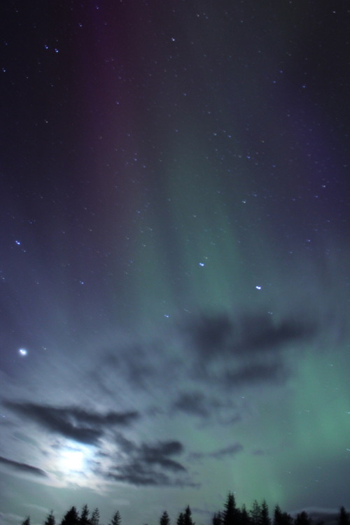 plantcosmos:aurora over umsjöliden, västerbotten, sweden april 6 2014