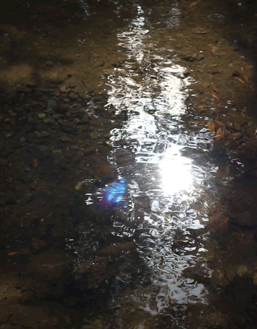 tumblr_ofa3gbmVPH1tu2m70o1_540.gifv