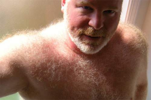 felixpiz:  thebigbearcave:  I guess it is HairyRedThursday (so beautiful, I can’t stop posting him)  yes I want him like that!!!