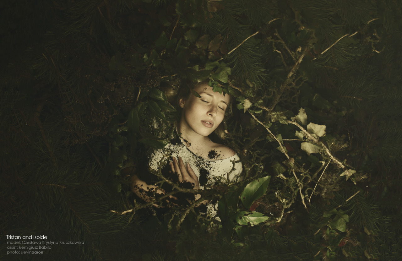 fairytalemood:  &ldquo;Tristan and Isolde&rdquo; by slevinaaron (Bartosz