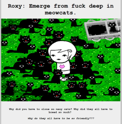tmnsquirtlethings:  roxy you are a perfect person 