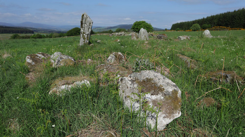 ‘Eslie The Lesser’ Stone Circle, nr Banchory, Scotland, 30.5.18.The last of three stone circles in c