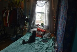 basicfruits:  My room and kitty watching candle smoke 