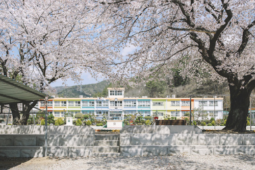 boohwanj:2019-03-31