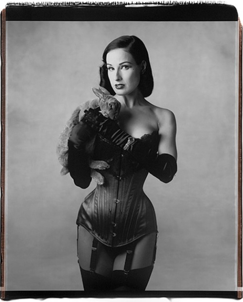 Dita Von Teese  adult photos