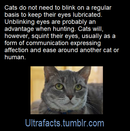 ultrafacts:  Source: [x] Click HERE for more facts! 