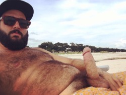 strongbearsbr:  Strong Bears BRVisit and