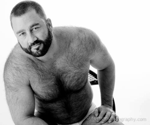 bearso:  More bears?,Follow me! ↘BEARSO! 