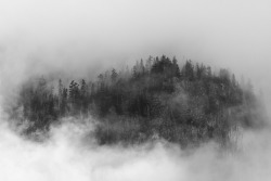 lostinthewhiteroom:  Foggy Mind by John Westrock on Flickr. 