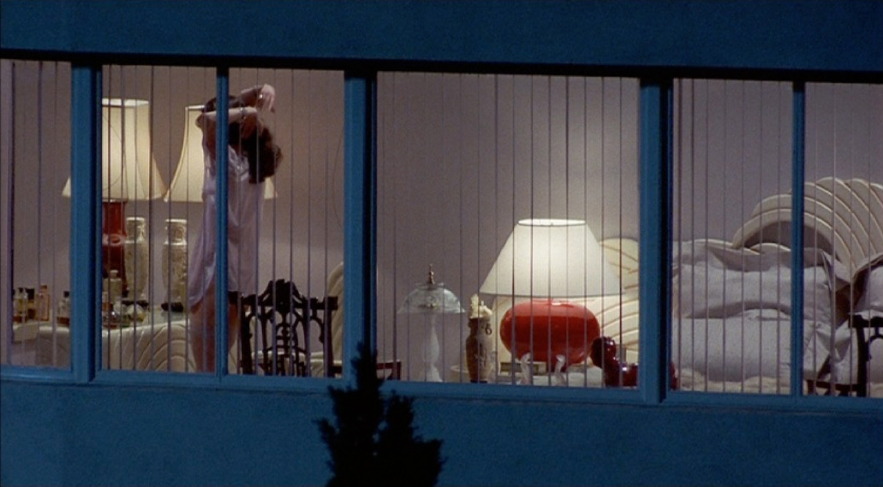 kittenplaylist:Body Double | 1984