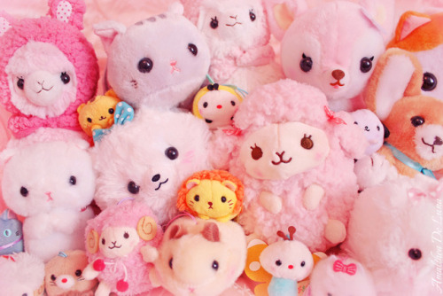 amaltheadeluna:Pokemon vs Sanrio vs Amuse vs San-x
