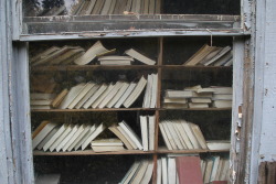 dayzea:  Abandoned library, roadside somewhere