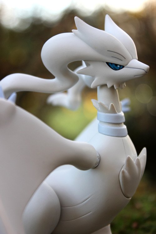 pokeons:N &amp; Reshiram nendoroid appreciation post :D