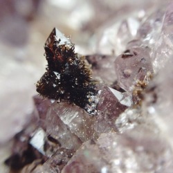 dialects:amethyst cluster 28/4/15