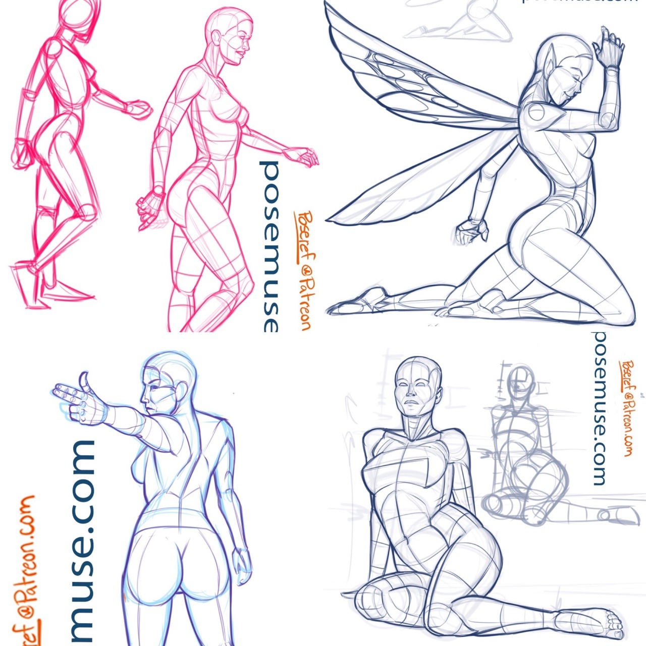 Back reference sheet PREVIEW  Patreon  Exercicios de anatomia  Referência de desenho Tutorial de desenho