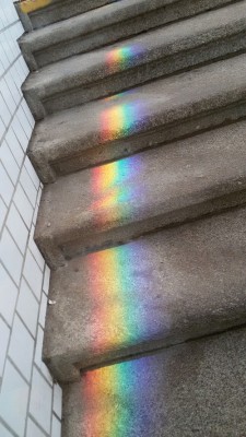 leandrog0mez:  rainbow em We Heart It.