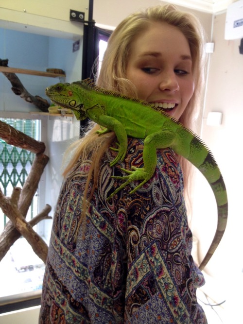 tree-house-children:  My best friend meeting my lizard ❤️