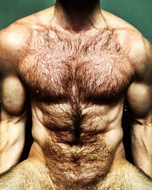 peludopt: #alexandrepeludo #gayman #hairymam www.instagram.com/p/CK_z8Y7HVrs/?igshid=7q64n4m