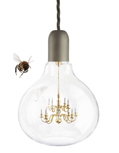 archatlas:The King Edison Pendant Lamp  Small is beautiful meets a moment of genius, a perfect tin