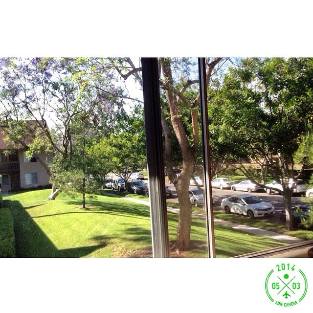 Day 11: Enjoying the weather in doors, but at least my view looks alright. #100happydays