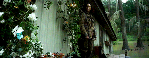 glitterghosts:Annihilation (2018) dir. Alex Garland